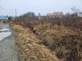 Vacant Land - Rocky's Lane